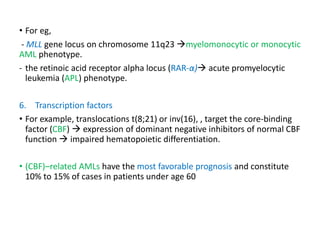 • For eg,
- MLL gene locus on chromosome 11q23 myelomonocytic or monocytic
AML phenotype.
- the retinoic acid receptor alpha locus (RAR-α) acute promyelocytic
leukemia (APL) phenotype.
6. Transcription factors
• For example, translocations t(8;21) or inv(16), , target the core-binding
factor (CBF)  expression of dominant negative inhibitors of normal CBF
function  impaired hematopoietic differentiation.
• (CBF)–related AMLs have the most favorable prognosis and constitute
10% to 15% of cases in patients under age 60
 