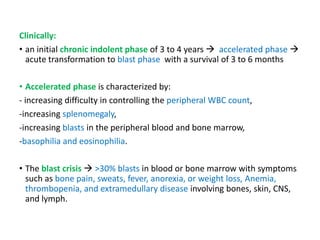 Clinically:
• an initial chronic indolent phase of 3 to 4 years  accelerated phase 
acute transformation to blast phase with a survival of 3 to 6 months
• Accelerated phase is characterized by:
- increasing difficulty in controlling the peripheral WBC count,
-increasing splenomegaly,
-increasing blasts in the peripheral blood and bone marrow,
-basophilia and eosinophilia.
• The blast crisis  >30% blasts in blood or bone marrow with symptoms
such as bone pain, sweats, fever, anorexia, or weight loss, Anemia,
thrombopenia, and extramedullary disease involving bones, skin, CNS,
and lymph.
 