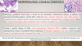 MORPHOLOGIC CHARACTERISTICS
• Obtaining a peripheral blood smear is crucial for the examination. Characteristic features, in addition to
generalized thrombocytopenia, include blasts, which are large, immature leukocytes with a high nuclear-to-
cytoplasmic ratio, irregular nuclear contour, and smooth chromatin with prominent or multiple nucleoli. Blasts
have cytoplasm that appears pale or deep blue with a variably eosinophilic hue.
• Notably, a specific subtype of AML—acute promyelocytic leukaemia (APL)—exhibits a distinctive and
pathognomonic feature on peripheral blood morphology of abundant cytoplasmic Auer rods, which resemble
clumps of azurophilic granules elongated like needles.
Bain BJ, Béné MC. Morphological and Immunophenotypic Clues to the WHO Categories of Acute Myeloid Leukaemia. Acta
Haematol. 2019;141(4):232-244.
 