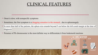 CLINICAL FEATURES
• Onset is slow, with nonspecific symptoms
• Sometimes, the first symptom is a dragging sensation in the stomach , due to splenomegaly
• In more than half of the patients, the spleen size extends beyond 5 cm below the left costal margin at the time of
diagnosis
• Presence of Ph chromosome is the most definite way to differentiate it from leukemoid reactions
 