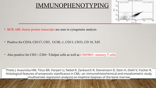 IMMUNOPHENOTYPING
• BCR-ABL fusion protein transcripts are seen in cytogenetic analysis
• Positive for CD34, CD117, CD3, UCHL-1, CD13, CD33, CD 10, TdT.
• Also positive for CD3+, CD4+ T-helper cells as well as CD45RO+ memory T cells
Thiele J, Kvasnicka HM, Titius BR, Parpert U, Nebel R, Zankovich R, Dienemann D, Stein H, Diehl V, Fischer R.
Histological features of prognostic significance in CML--an immunohistochemical and morphometric study
(multivariate regression analysis) on trephine biopsies of the bone marrow
 