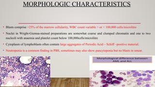 MORPHOLOGIC CHARACTERISTICS
• Blasts comprise >25% of the marrow cellularity, WBC count variable > or < 100,000 cells/microlitre
• Nuclei in Wright-Giemsa-stained preparations are somewhat coarse and clumped chromatin and one to two
nucleoli with anaemia and platelet count below 100,000cells/microlitre
• Cytoplasm of lymphoblasts often contain large aggregates of Periodic Acid – Schiff –positive material.
• Neutropenia is a common finding in PBS, sometimes may also show pancytopenia but no blasts in smear.
 