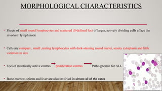 MORPHOLOGICAL CHARACTERISTICS
• Sheets of small round lymphocytes and scattered ill-defined foci of larger, actively dividing cells efface the
involved lymph node
• Cells are compact , small ,resting lymphocytes with dark-staining round nuclei, scanty cytoplasm and little
variation in size
• Foci of mitotically active centres proliferation centres Patho gnomic for ALL
• Bone marrow, spleen and liver are also involved in almost all of the cases
 