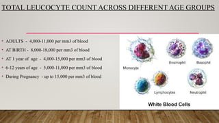 TOTAL LEUCOCYTE COUNT ACROSS DIFFERENT AGE GROUPS
• ADULTS - 4,000-11,000 per mm3 of blood
• AT BIRTH - 8,000-18,000 per mm3 of blood
• AT 1 year of age - 4,000-15,000 per mm3 of blood
• 6-12 years of age - 5,000-11,000 per mm3 of blood
• During Pregnancy - up to 15,000 per mm3 of blood
 