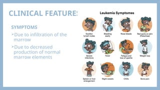CLINICAL FEATURES
SYMPTOMS
Due to infiltration of the
marrow
Due to decreased
production of normal
marrow elements
 