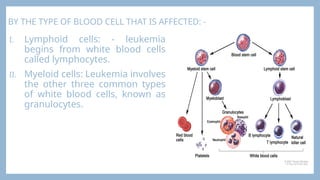 BY THE TYPE OF BLOOD CELL THAT IS AFFECTED: -
I. Lymphoid cells: - leukemia
begins from white blood cells
called lymphocytes.
II. Myeloid cells: Leukemia involves
the other three common types
of white blood cells, known as
granulocytes.
 
