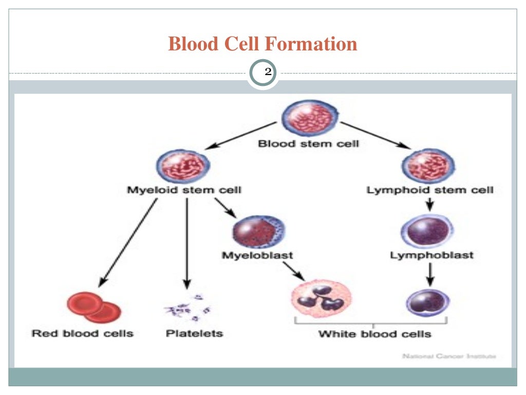 Leukemia ppt