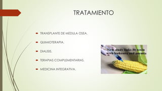 TRATAMIENTO
 TRANSPLANTE DE MEDULA OSEA.
 QUIMIOTERAPIA.
 DIALISIS.
 TERAPIAS COMPLEMENTARIAS.
 MEDICINA INTEGRATIVA.
 