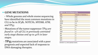  GENE MUTATIONS
- Whole genome and whole exome sequencing
have identified the most common mutations in
CLL to be in SF3B1, NOTCH1, MYD88, ATM,
and TP53
- Mutations of the tumor suppressor TP53 are
found in ~5% of CLL in previously untreated
early stage disease and up to 40% in later
stages.
- TP53 mutations are associated with a poor
prognosis and expected lack of response to
DNA-damaging therapies.
 