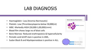 LAB DIAGNOSIS
• Haemoglobin– Low (Anemia-Normocytic)
• Platelet- Low (Thrombocytopenia-below 50,000/ul)
• WBC- Markedly HIGH (50,000-1,00,000/cmm)
• Blood film shows large no of blast cells
• Bone Marrow- Reduced erythropoiesis & hypercellularity
• Periodic acid-Schiff stain is positive in AML.
• Sudan Black B and Myeloperoxidase is positive in ALL.
 