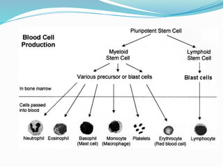 LEUKEMIAS.pptxpowerpoint presentation slide | PPTX