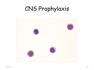 CNS Prophylaxis
4/28/2014 46
 