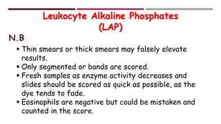 Leukocyte Alkaline Phosphatase Stain | PDF