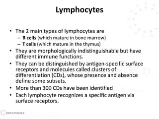 Lymphocytes
• The 2 main types of lymphocytes are
– B cells (which mature in bone marrow)
– T cells (which mature in the thymus)
• They are morphologically indistinguishable but have
different immune functions.
• They can be distinguished by antigen-specific surface
receptors and molecules called clusters of
differentiation (CDs), whose presence and absence
define some subsets.
• More than 300 CDs have been identified
• Each lymphocyte recognizes a specific antigen via
surface receptors.
 