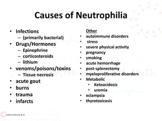 Causes of Neutrophilia
• Infections
– (primarily bacterial)
• Drugs/Hormones
– Epinephrine
– corticosteroids
– lithium
• venoms/poisons/toxins
– Tissue necrosis
• acute gout
• burns
• trauma
• infarcts
Other
• autoimmune disorders
• stress
• severe physical activity
• pregnancy
• smoking
• acute hemorrhage
• post-splenectomy
• myeloproliferative disorders
• Metabolic
• Ketoacidosis
• uremia
• eclampsia
• thyrotoxicosis
 