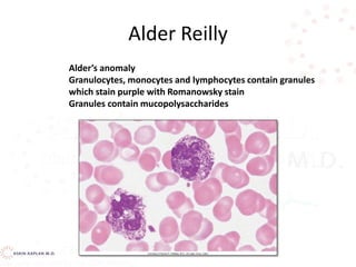 Alder Reilly
Alder’s anomaly
Granulocytes, monocytes and lymphocytes contain granules
which stain purple with Romanowsky stain
Granules contain mucopolysaccharides
 