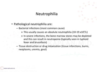 • Pathological neutrophilia are:
– Bacterial infections (most common cause)
» This usually causes an absolute neutrophilia (10-19 x109/L)
» In severe infections, the bone marrow stores may be depleted
and this can result in neutropenia (typically seen in typhoid
fever and brucellosis)
– Tissue destruction or drug intoxication (tissue infarctions, burns,
neoplasms, uremia, gout)
Neutrophilia
 