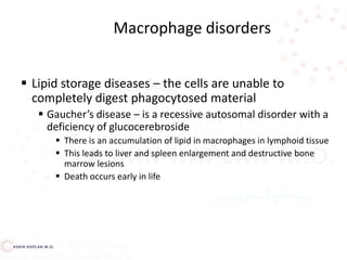  Lipid storage diseases – the cells are unable to
completely digest phagocytosed material
 Gaucher’s disease – is a recessive autosomal disorder with a
deficiency of glucocerebroside
 There is an accumulation of lipid in macrophages in lymphoid tissue
 This leads to liver and spleen enlargement and destructive bone
marrow lesions
 Death occurs early in life
Macrophage disorders
 
