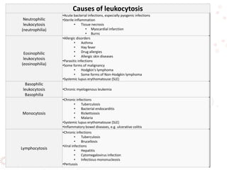 Causes of leukocytosis
Neutrophilic
leukocytosis
(neutrophilia)
•Acute bacterial infections, especially pyogenic infections
•Sterile inflammation
• Tissue necrosis
• Myocardial infarction
• Burns
Eosinophilic
leukocytosis
(eosinophilia)
•Allergic disorders
• Asthma
• Hay fever
• Drug allergies
• Allergic skin diseases
•Parasitic infections
•Some forms of malignancy
• Hodgkin's lymphoma
• Some forms of Non-Hodgkin lymphoma
•Systemic lupus erythomatouse (SLE)
Basophilic
leukocytosis
Basophilia
•Chronic myelogenous leukemia
Monocytosis
•Chronic infections
• Tuberculosis
• Bacterial endocarditis
• Rickettsiosis
• Malaria
•Systemic lupus erythomatouse (SLE)
•Inflammatory bowel diseases, e.g. ulcerative colitis
Lymphocytosis
•Chronic infections
• Tuberculosis
• Brucellosis
•Viral infections
• Hepatitis
• Cytomegalovirus infection
• Infectious mononucleosis
•Pertussis
 