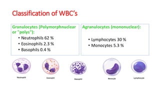 Leukocyte Formation, Functions, and the Reticuloendothelial system (1).pdf