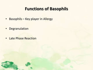 Functions of Basophils
• Basophils – Key player in Allergy
• Degranulation
• Late Phase Reaction
 
