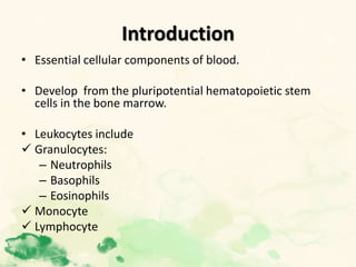 Introduction
• Essential cellular components of blood.
• Develop from the pluripotential hematopoietic stem
cells in the bone marrow.
• Leukocytes include
 Granulocytes:
– Neutrophils
– Basophils
– Eosinophils
 Monocyte
 Lymphocyte
 