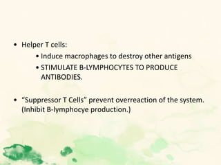 • Helper T cells:
• Induce macrophages to destroy other antigens
• STIMULATE B-LYMPHOCYTES TO PRODUCE
ANTIBODIES.
• “Suppressor T Cells” prevent overreaction of the system.
(Inhibit B-lymphocye production.)
 