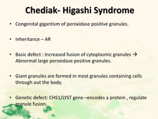 Chediak- Higashi Syndrome
• Congenital gigantism of peroxidase positive granules.
• Inheritance – AR
• Basic defect : Increased fusion of cytoplasmic granules 
Abnormal large peroxidase positive granules.
• Giant granules are formed in most granules containing cells
through out the body.
• Genetic defect: CHS1/LYST gene –encodes a protein , regulate
granule fusion.
 