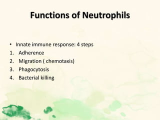 Functions of Neutrophils
• Innate immune response: 4 steps
1. Adherence
2. Migration ( chemotaxis)
3. Phagocytosis
4. Bacterial killing
 