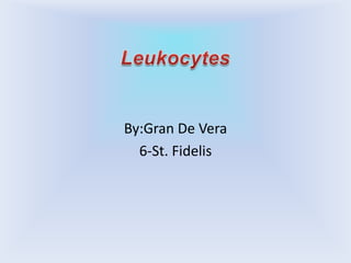Leukocytes By:Gran De Vera 6-St. Fidelis 