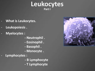 Leukocytes
Part I
- What is Leukocytes.
- Leukopoiesis .
- Myelocytes :
- Neutrophil .
- Eosinophil .
- Basophil .
- Monocyte .
- Lymphocytes :
- B Lymphocyte
- T Lymphocyte
 