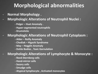 Morphological abnormalities
- Normal Morphology .
- Morphologic Alterations of Neutrophil Nuclei :
- Pelger – Huet Anomaly .
- Hyper-segmented neutrophils
- Drumsticks
- Morphologic Alterations of Neutrophil Cytoplasm :
- Alder – Reilly Anomaly
- Chediak – Higashi Syndrome
- May – Hegglin Anomaly
- Dohle Bodies , Toxic Garnulation
- Morphologic Alterations of Lymphocyte & Monocyte :
- Reed-Sternberg cells
- Hand-mirror cells
- Sezary cells
- Smudge cells
- Atypical lymphocyte , Activated monocytes
 