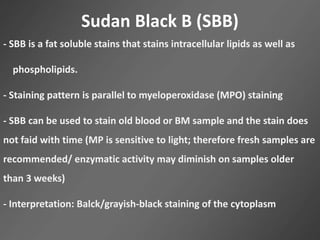 Sudan Black B (SBB)
- SBB is a fat soluble stains that stains intracellular lipids as well as
phospholipids.
- Staining pattern is parallel to myeloperoxidase (MPO) staining
- SBB can be used to stain old blood or BM sample and the stain does
not faid with time (MP is sensitive to light; therefore fresh samples are
recommended/ enzymatic activity may diminish on samples older
than 3 weeks)
- Interpretation: Balck/grayish-black staining of the cytoplasm
 