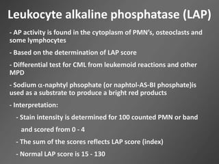 Leukocyte alkaline phosphatase (LAP)
- AP activity is found in the cytoplasm of PMN’s, osteoclasts and
some lymphocytes
- Based on the determination of LAP score
- Differential test for CML from leukemoid reactions and other
MPD
- Sodium -naphtyl phsophate (or naphtol-AS-BI phosphate)is
used as a substrate to produce a bright red products
- Interpretation:
- Stain intensity is determined for 100 counted PMN or band
and scored from 0 - 4
- The sum of the scores reflects LAP score (index)
- Normal LAP score is 15 - 130
 