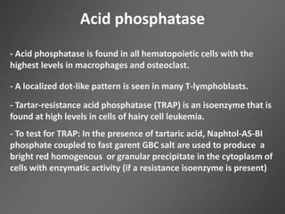 Acid phosphatase
- Acid phosphatase is found in all hematopoietic cells with the
highest levels in macrophages and osteoclast.
- A localized dot-like pattern is seen in many T-lymphoblasts.
- Tartar-resistance acid phosphatase (TRAP) is an isoenzyme that is
found at high levels in cells of hairy cell leukemia.
- To test for TRAP: In the presence of tartaric acid, Naphtol-AS-BI
phosphate coupled to fast garent GBC salt are used to produce a
bright red homogenous or granular precipitate in the cytoplasm of
cells with enzymatic activity (if a resistance isoenzyme is present)
 