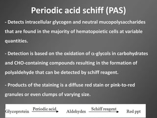 Periodic acid schiff (PAS)
- Detects intracellular glycogen and neutral mucopolysaccharides
that are found in the majority of hematopoietic cells at variable
quantities.
- Detection is based on the oxidation of -glycols in carbohydrates
and CHO-containing compounds resulting in the formation of
polyaldehyde that can be detected by schiff reagent.
- Products of the staining is a diffuse red stain or pink-to-red
granules or even clumps of varying size.
 