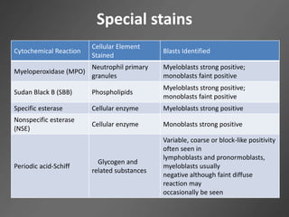Special stains
Blasts Identified
Cellular Element
Stained
Cytochemical Reaction
Myeloblasts strong positive;
monoblasts faint positive
Neutrophil primary
granules
Myeloperoxidase (MPO)
Myeloblasts strong positive;
monoblasts faint positive
PhospholipidsSudan Black B (SBB)
Myeloblasts strong positiveCellular enzymeSpecific esterase
Monoblasts strong positiveCellular enzyme
Nonspecific esterase
(NSE)
Variable, coarse or block-like positivity
often seen in
lymphoblasts and pronormoblasts,
myeloblasts usually
negative although faint diffuse
reaction may
occasionally be seen
Glycogen and
related substances
Periodic acid-Schiff
 
