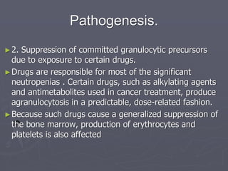 Pathogenesis.
►2. Suppression of committed granulocytic precursors
due to exposure to certain drugs.
►Drugs are responsible for most of the significant
neutropenias . Certain drugs, such as alkylating agents
and antimetabolites used in cancer treatment, produce
agranulocytosis in a predictable, dose-related fashion.
►Because such drugs cause a generalized suppression of
the bone marrow, production of erythrocytes and
platelets is also affected
 