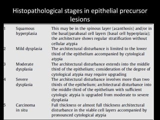 Histopathological stages in epithelial precursor
lesions
 