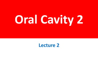 Oral Cavity 2
Lecture 2
 