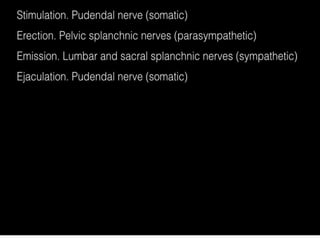The male sexual act | PPTX