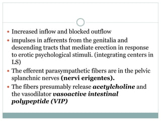 The male sexual act | PPTX