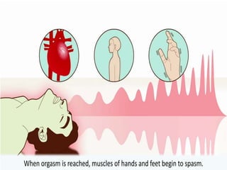 The male sexual act | PPTX