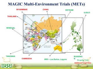 TANZANIA
VIETNAMCHINA
CAMBODIA
SENEGAL
IRRI – Los Baños, Laguna
ILOILO
BUKIDNON
MAGIC Multi-Environment Trials (METs)
On-going Trials
Additional Target Sites
MYANMMAR
THAILAND
 