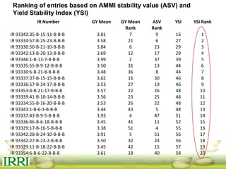 IR Number GY Mean GY Mean
Rank
ASV
Rank
YSI YSI Rank
IR 93342:35-B-15-11-B-B-B 3.81 7 9 16 1
IR 93334:57-B-25-23-B-B-B 3.58 21 6 27 2
IR 93330:50-B-21-10-B-B-B 3.84 6 23 29 3
IR 93342:13-B-20-13-B-B-B 3.69 12 17 29 4
IR 93346:1-B-13-7-B-B-B 3.99 2 37 39 5
IR 93335:55-B-9-12-B-B-B 3.50 31 13 44 6
IR 93330:6-B-21-8-B-B-B 3.48 36 8 44 7
IR 93337:37-B-15-15-B-B-B 3.62 16 30 46 8
IR 93336:57-B-24-17-B-B-B 3.53 27 19 46 9
IR 93353:4-B-21-17-B-B-B 3.57 22 26 48 10
IR 93339:41-B-10-14-B-B-B 3.56 23 25 48 11
IR 93334:55-B-16-20-B-B-B 3.53 26 22 48 12
IR 93343:1-B-6-3-B-B-B 3.44 43 5 48 13
IR 93337:43-B-9-5-B-B-B 3.93 4 47 51 14
IR 93336:46-B-6-18-B-B-B 3.45 41 11 52 15
IR 93329:17-B-16-5-B-B-B 3.38 51 4 55 16
IR 93342:28-B-24-10-B-B-B 3.91 5 51 56 17
IR 93342:27-B-23-2-B-B-B 3.50 32 24 56 18
IR 93329:11-B-18-22-B-B-B 3.45 42 15 57 19
IR 93354:6-B-6-22-B-B-B 3.61 18 40 58 20
Ranking of entries based on AMMI stability value (ASV) and
Yield Stability Index (YSI)
 