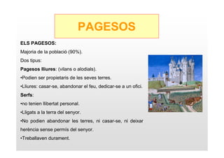 PAGESOS
ELS PAGESOS:
Majoria de la població (90%).
Dos tipus:
Pagesos lliures: (vilans o alodials).
•Podien ser propietaris de les seves terres.
•Lliures: casar-se, abandonar el feu, dedicar-se a un ofici.
Serfs:
•no tenien llibertat personal.
•Lligats a la terra del senyor.
•No podien abandonar les terres, ni casar-se, ni deixar
herència sense permís del senyor.
•Treballaven durament.
 