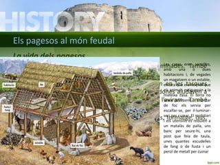 Els pagesos al món feudal 
La vida dels pagesos 
• Els pagesos vivien en pobles petits o en cases disseminades. També 
hi vivien alguns artesans o petits comerciants. 
• Homes, dones, persones grans i nens participaven en les tasques 
agrícoles. Els homes les tasques de més força. Les dones ajudaven a 
segar, veremar, conrear l’hort i tenir cura de l’aviram. També 
rentaven, cuinaven, s’ocupaven dels fills... 
• El menjar era monòton i escàs: pa negre, farinetes, formatge, ous, 
escudelles amb verdures.... 
Les cases eren senzilles, 
amb una o dues 
habitacions i, de vegades 
un magatzem o un estable, 
encara que era normal que 
els animals estiguessin a la 
mateixa casa. El terra no 
tenia paviment, i una llar 
de foc els servia per 
escalfar-se, per il·luminar-se 
i per cuinar. El mobiliari 
i els utensilis es reduïen a 
un matalàs de palla, uns 
banc per seure-hi, una 
post que feia de taula, 
unes quantes escudelles 
de fang o de fusta i un 
perol de metall per cuinar 
 