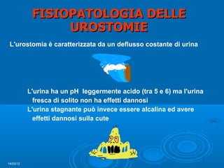 FISIOPATOLOGIA DELLE
                 UROSTOMIE
 L'urostomia è caratterizzata da un deflusso costante di urina




           L'urina ha un pH leggermente acido (tra 5 e 6) ma l'urina
             fresca di solito non ha effetti dannosi
           L'urina stagnante può invece essere alcalina ed avere
             effetti dannosi sulla cute




14/03/12
 