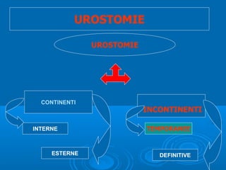 UROSTOMIE

               UROSTOMIE




  CONTINENTI
                           INCONTINENTI

INTERNE                    TEMPORANEE


     ESTERNE                  DEFINITIVE
 