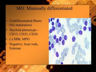 MO: Minimally differentiated
• Undifferentiated Blasts
(No maturation)
• Myeloid phenotype -
CD13, CD33, CD34
• (-) SBB, MPO
• Negative: Auer rods,
Esterase
 